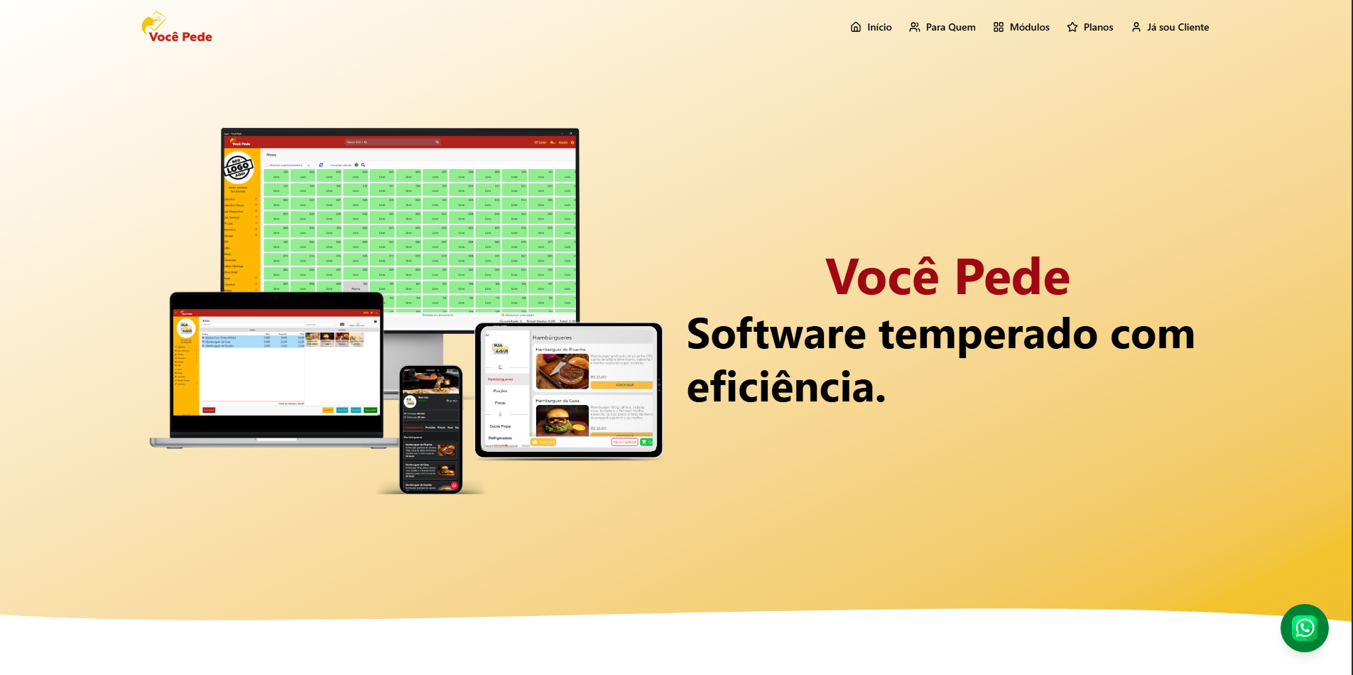 Você Pede Softwares - 1